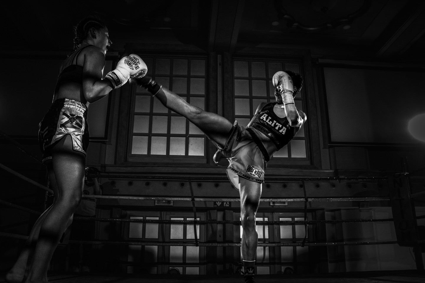Guantes de boxeo y kickboxing ABP Sport